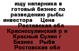 ищу напарника в готовый бизнес по разведению рыбы. инвестора. › Цена ­ 2 000 000 - Ростовская обл., Красносулинский р-н, Красный Сулин г. Бизнес » Рыба   . Ростовская обл.